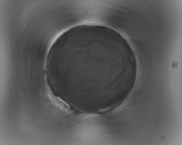 X0000110700864200907021956