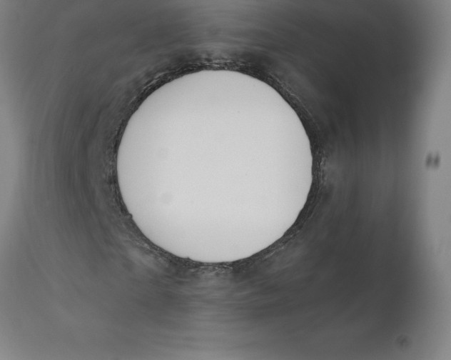 X0000110700865200907021955