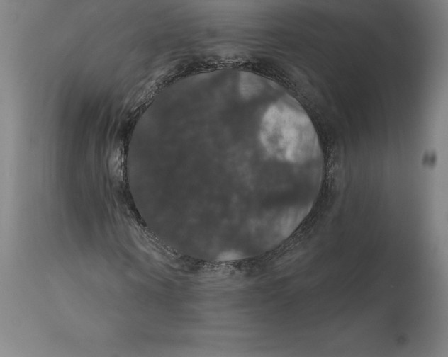 X0000110700866200907021955