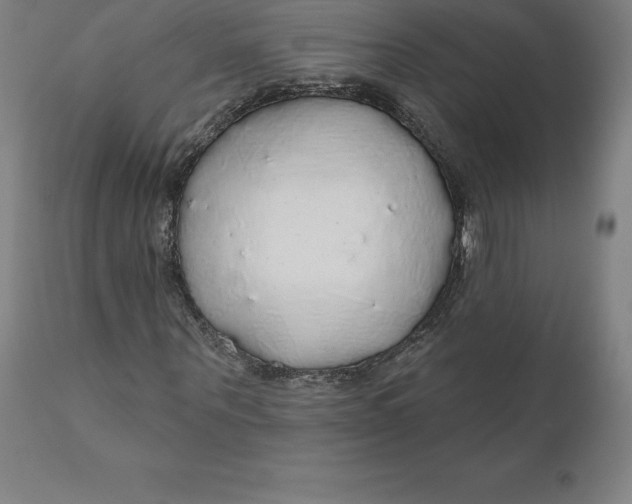 X0000110700867200907021955