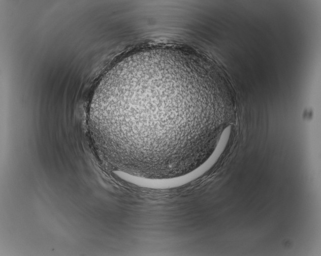 X0000110700868200907021955