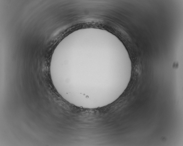 X0000110700869200907021955