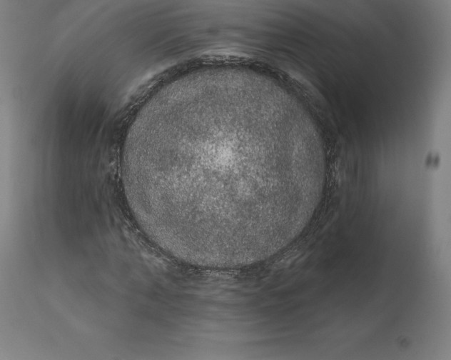 X0000110700870200907021955