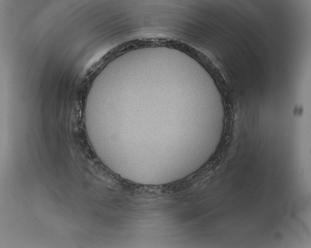 X0000110700871200907021955