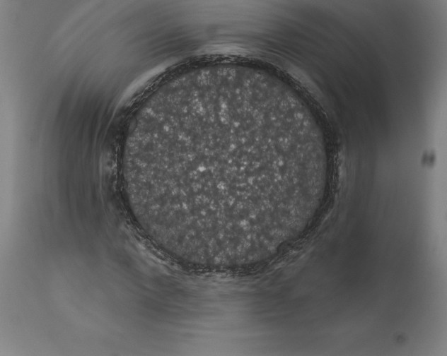 X0000110700872200907021955