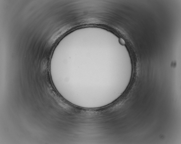 X0000110700873200907021955