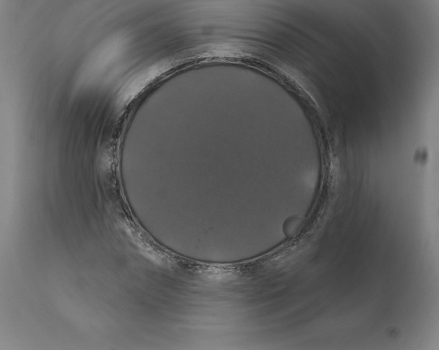 X0000110700874200907021955