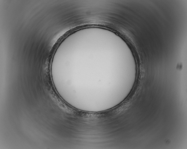 X0000110700875200907021955