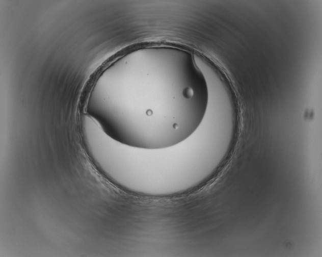 X0000110700876200907021955