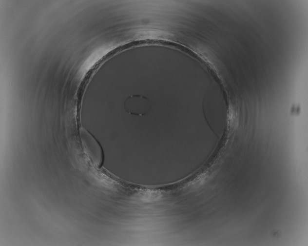 X0000110700877200907021955