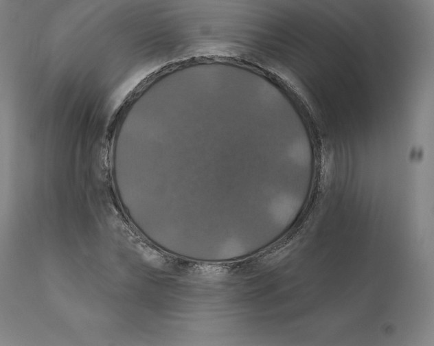 X0000110700878200907021955