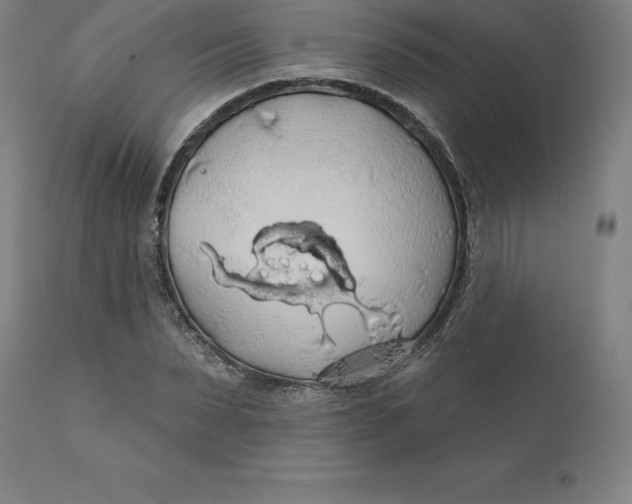 X0000110700879200907021955