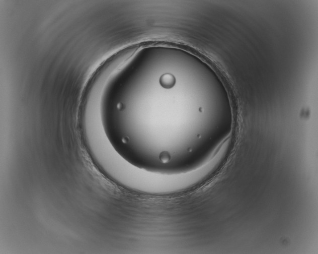 X0000110700880200907021955