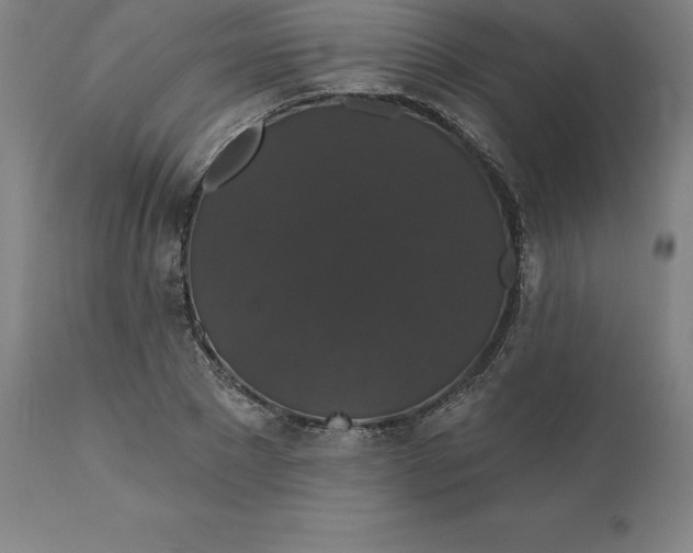 X0000110700881200907021955