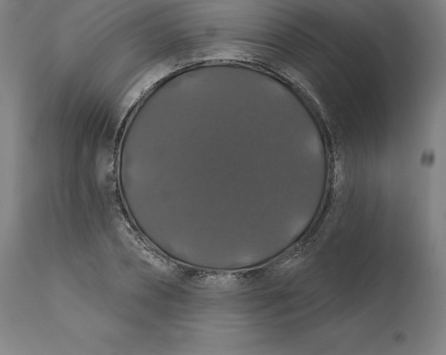 X0000110700882200907021955