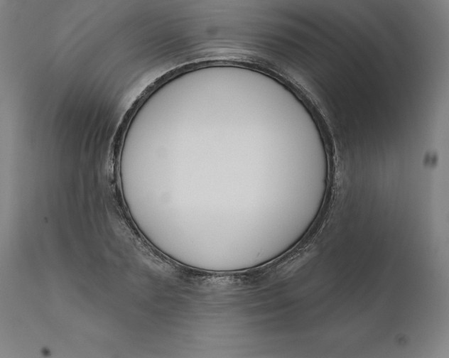 X0000110700883200907021955