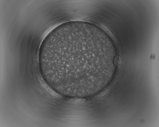 X0000110700884200907021955