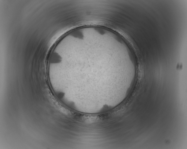 X0000110700886200907021955