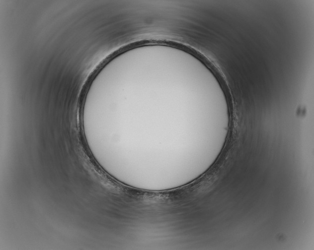 X0000110700887200907021955