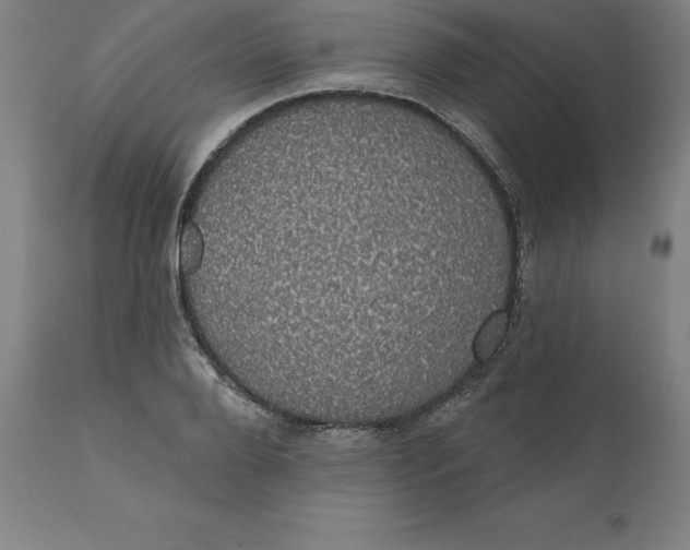 X0000110700888200907021955