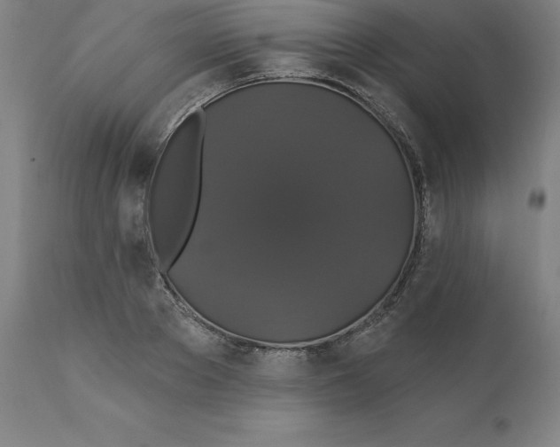 X0000110700889200907021955