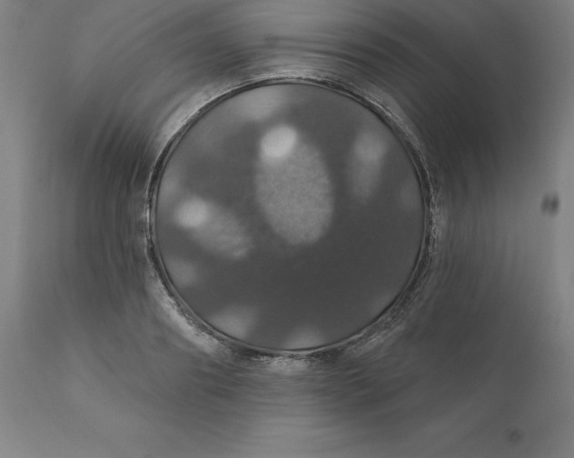 X0000110700890200907021955