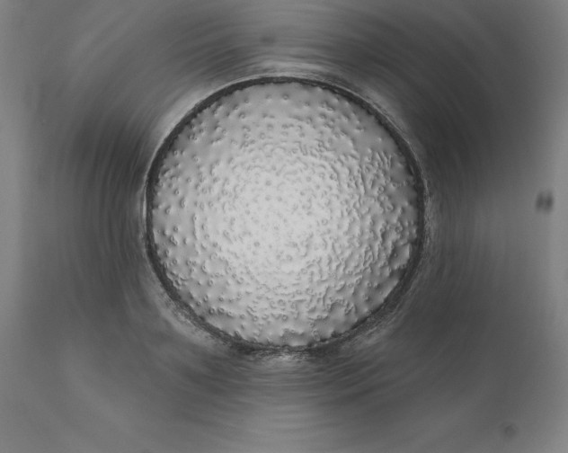 X0000110700891200907021955