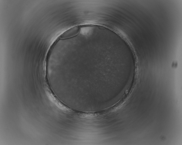 X0000110700892200907021955