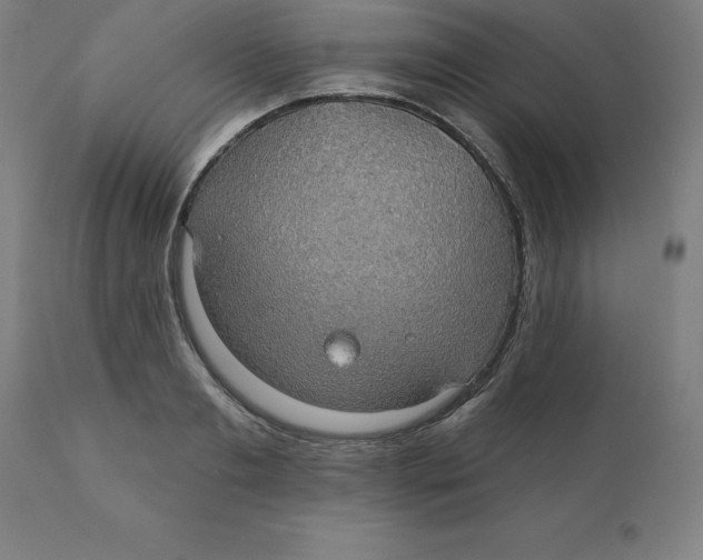 X0000110700893200907021954