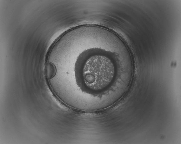 X0000110700894200907021954