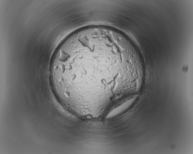 X0000110700895200907021954