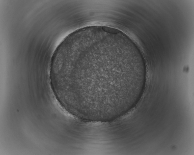 X0000110700896200907021954