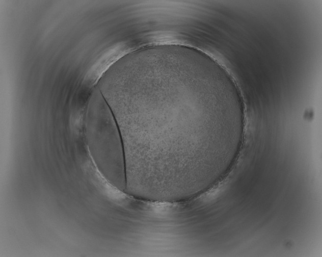 X0000110700897200907021954