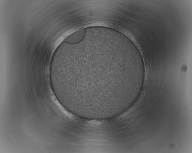 X0000110700898200907021954