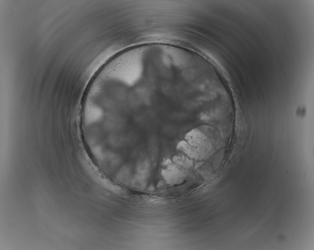 X0000110700899200907021954