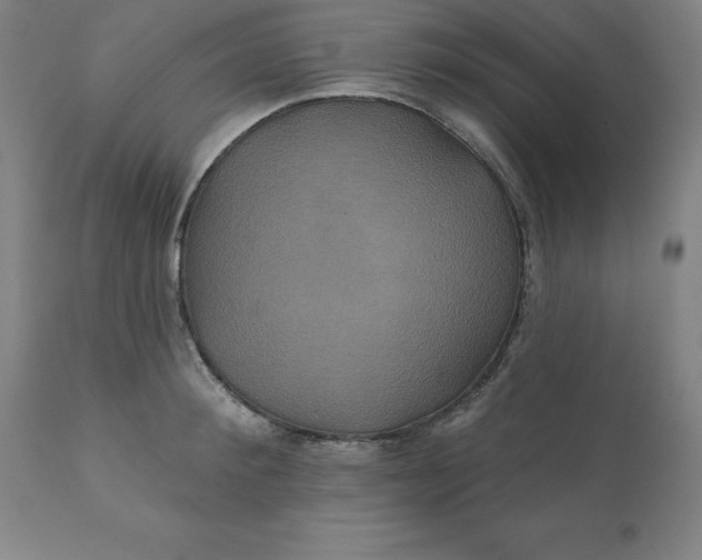 X0000110700900200907021954