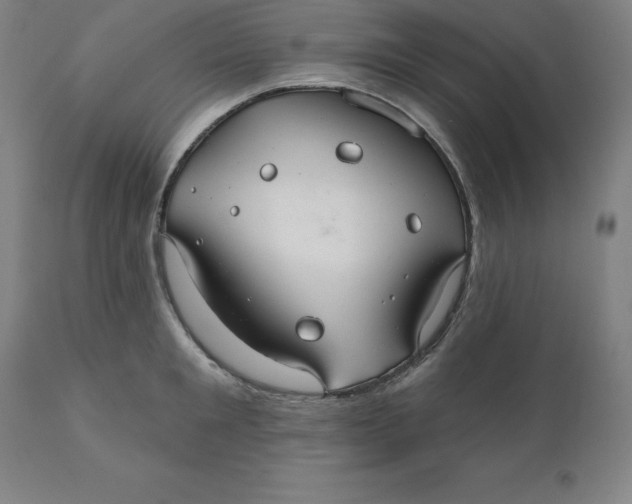 X0000110700901200907021954