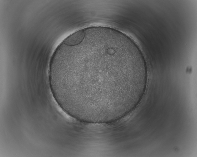 X0000110700902200907021954