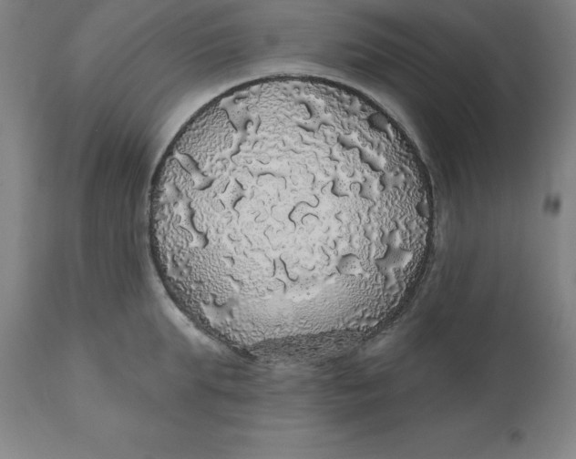 X0000110700903200907021954