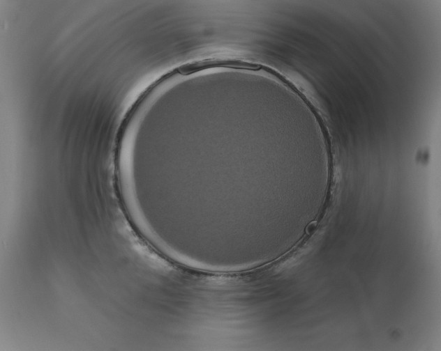 X0000110700904200907021954