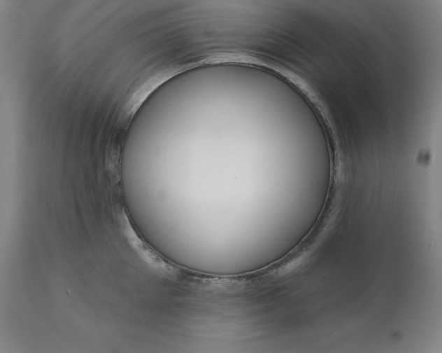 X0000110700905200907021954