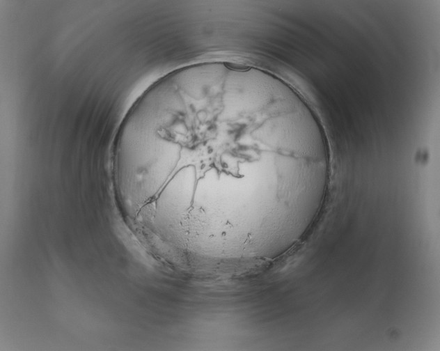 X0000110700907200907021954