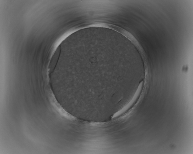 X0000110700908200907021954