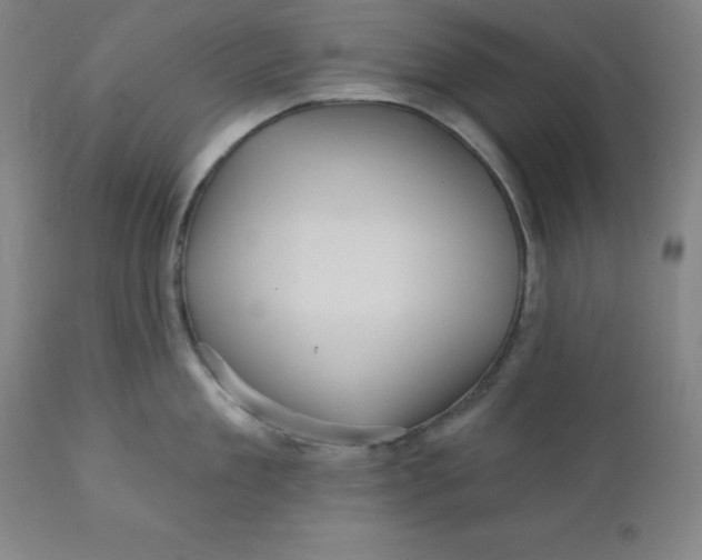 X0000110700909200907021954