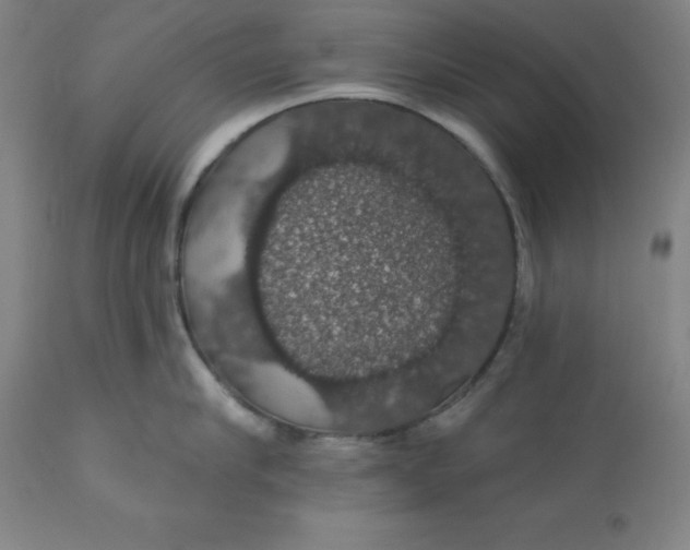 X0000110700910200907021954