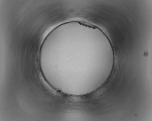 X0000110700911200907021954