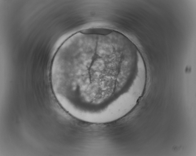 X0000110700912200907021954