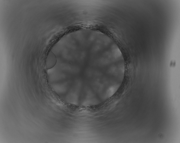 X0000110700913200907021954