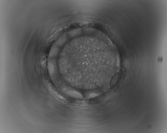 X0000110700914200907021954