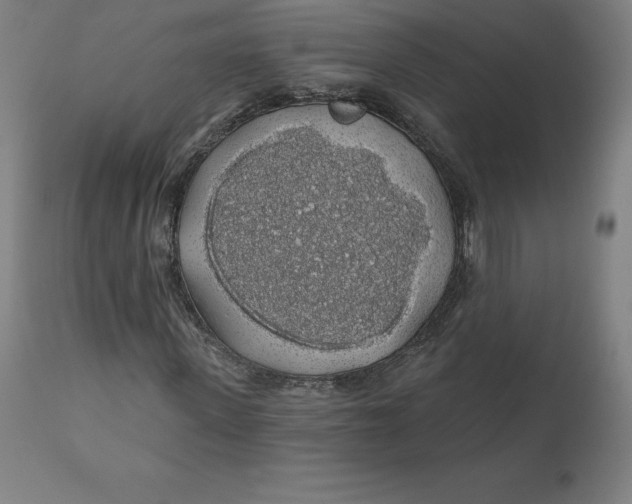 X0000110700915200907021954